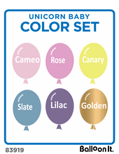 Load image into Gallery viewer, Match your party supplies to these colors!
